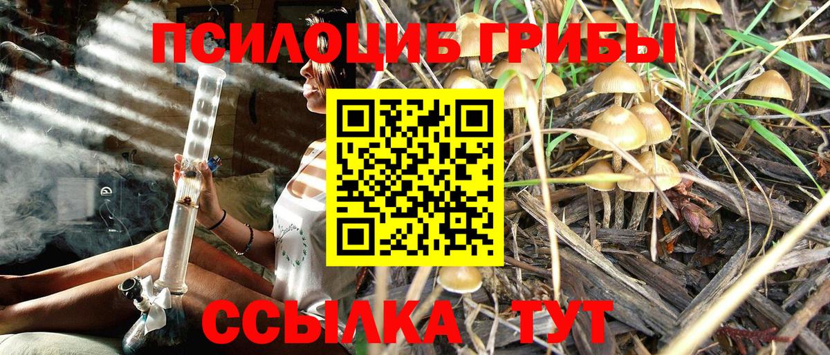 Галлюциногенные грибы MAGIC MUSHROOMS  Галлюциногенные грибы GOLDEN TEACHER  Вход с VPN  Красноуфимск 